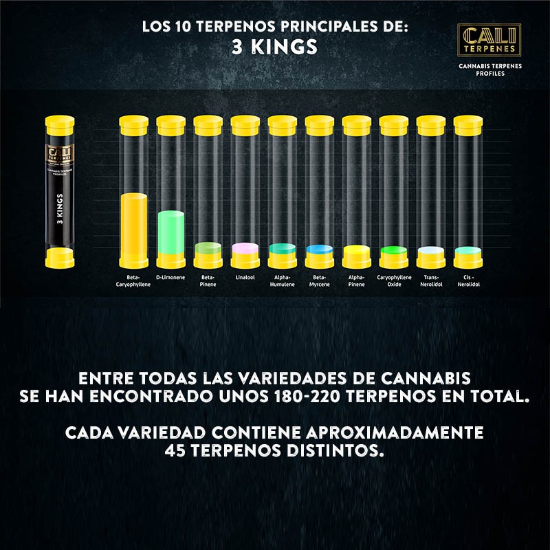 Terpenos 3 Kings