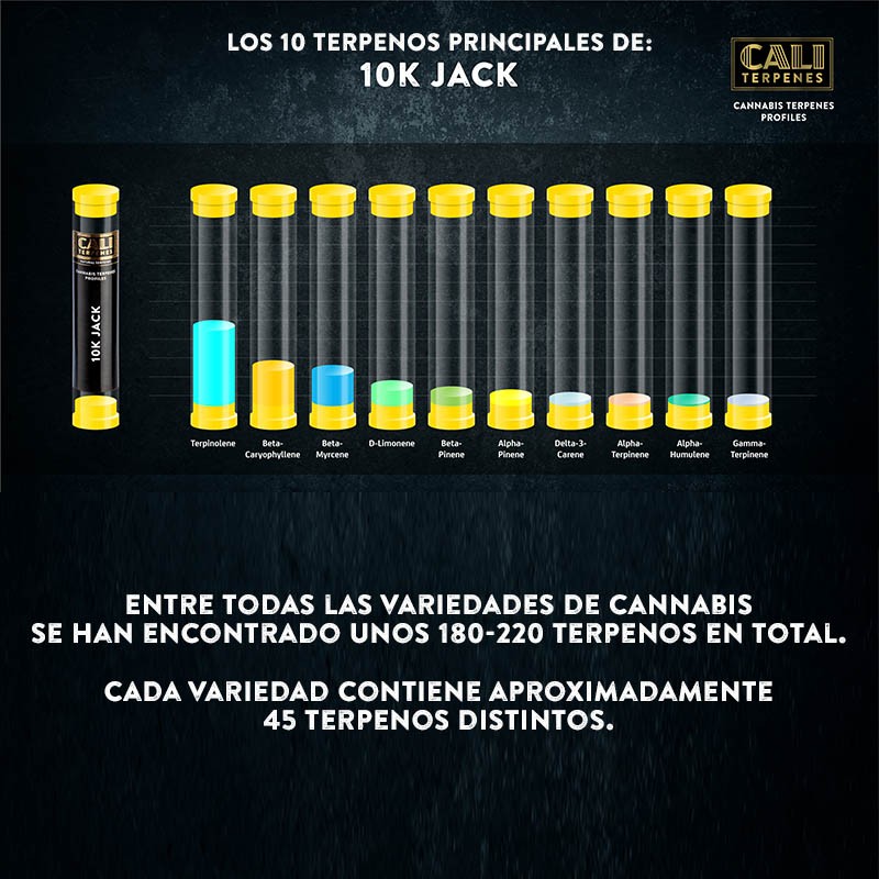 Terpenos 10K Jack