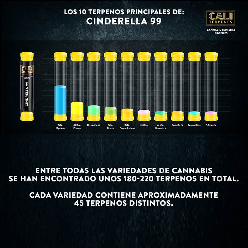 Terpenos Cinderella 99