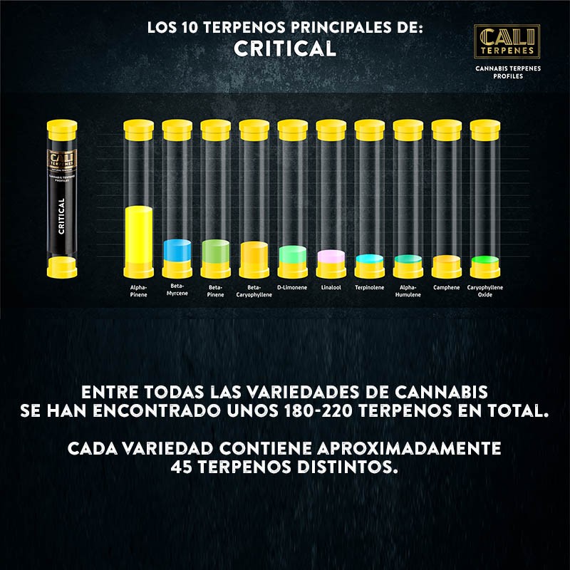 Terpenos Critical