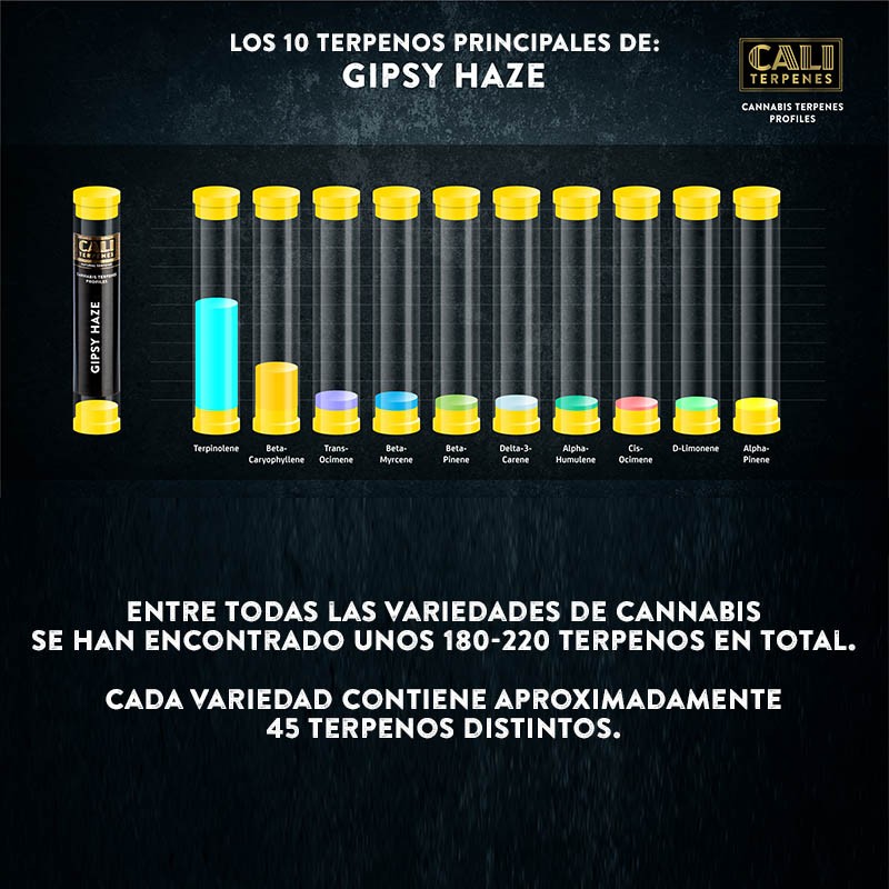 Terpenos Gipsy Haze