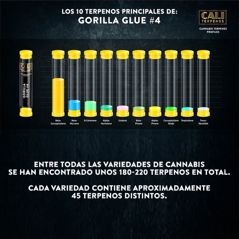 Terpenos Gorilla Glue
