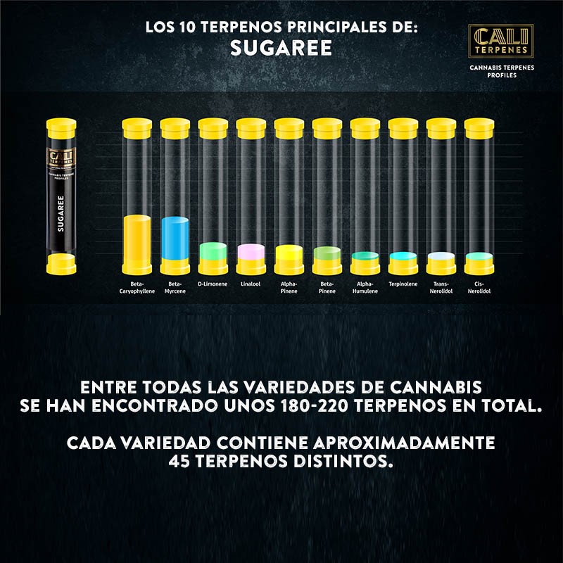 Terpenos Sugaree