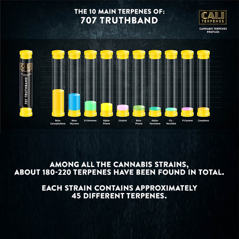 707 Truthband Terpenes