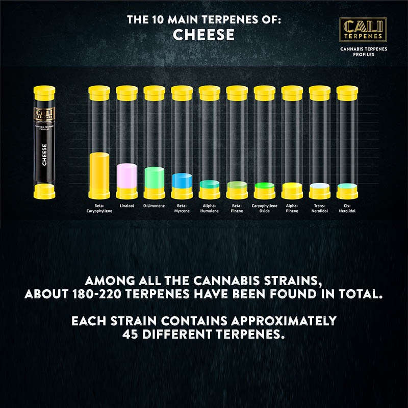 Cheese Terpenes