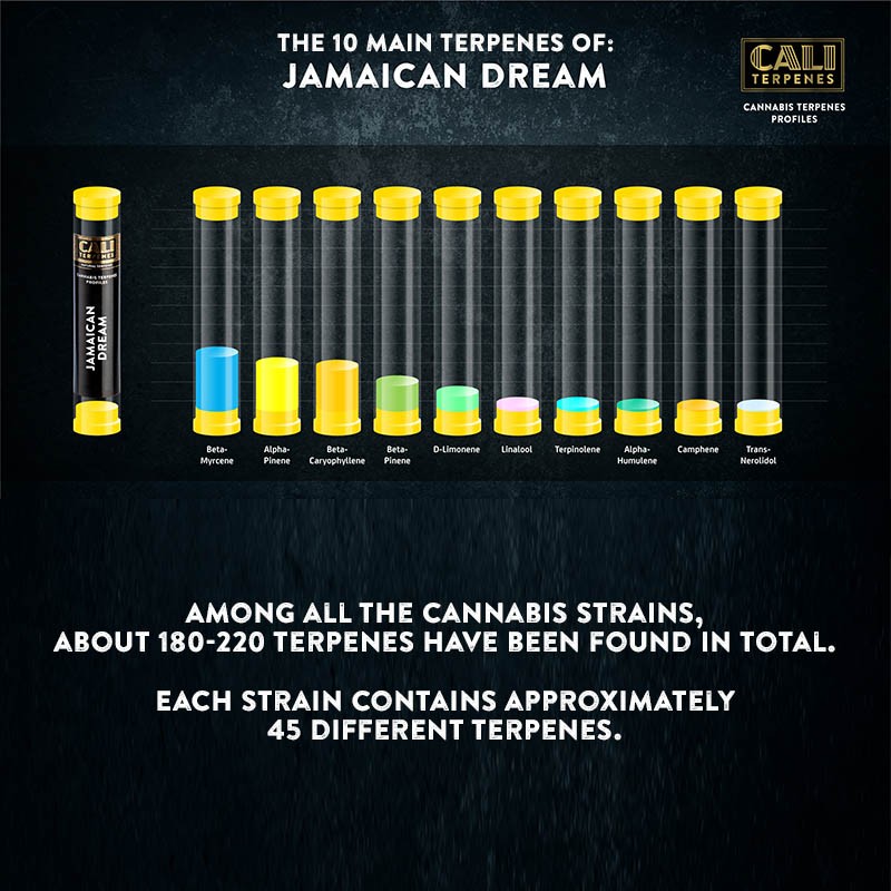 Jamaican Dream Terpenes