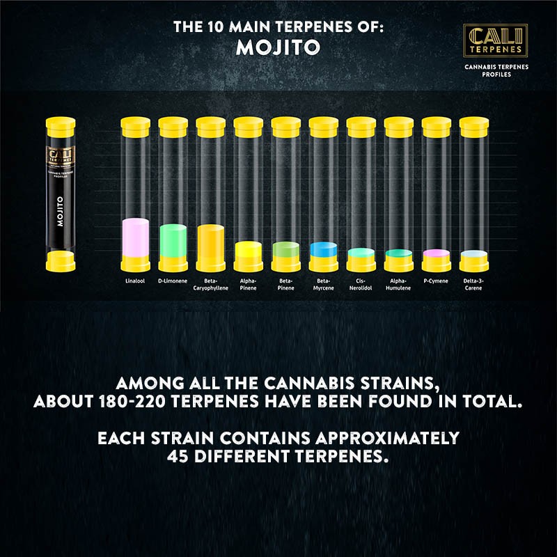 Mojito Terpenes