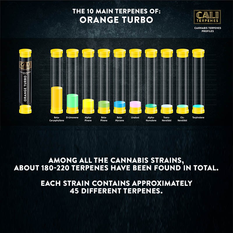 Orange Turbo Terpenes