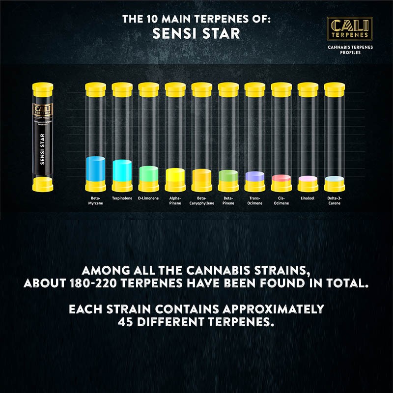 Sensi Star Terpenes