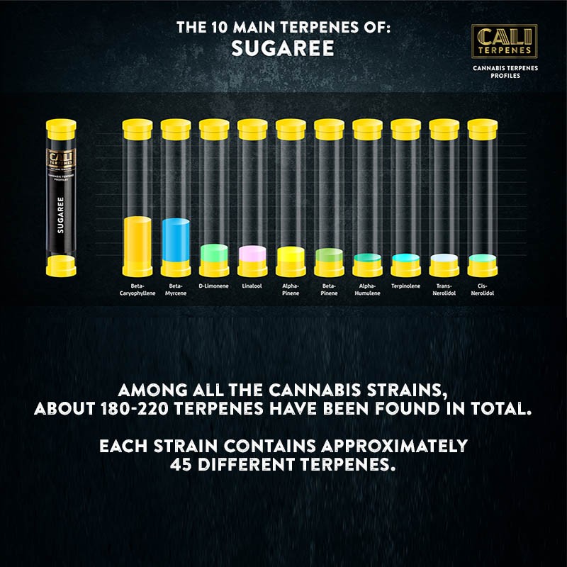 Sugaree Terpenes