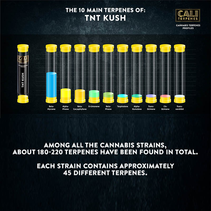 TNT Kush Terpenes