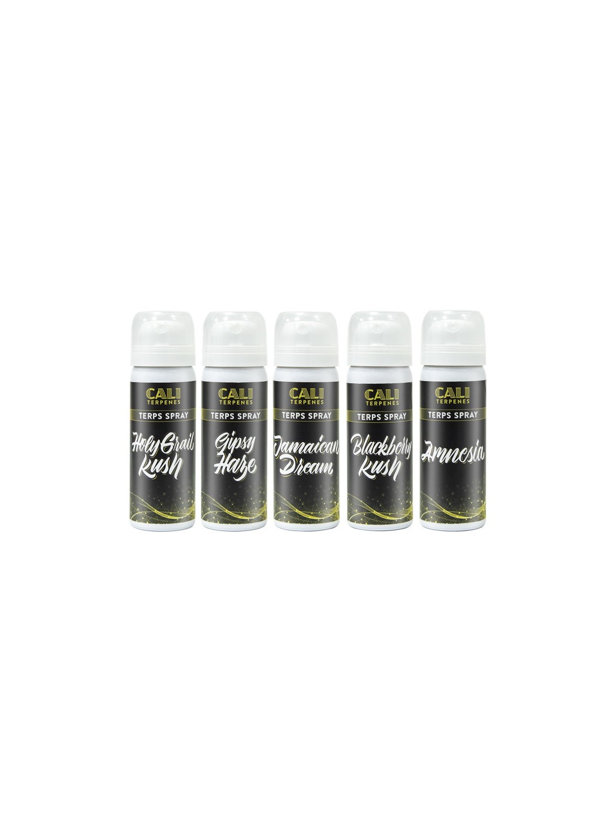 TERPS SPRAY WELCOME PACK 5ML