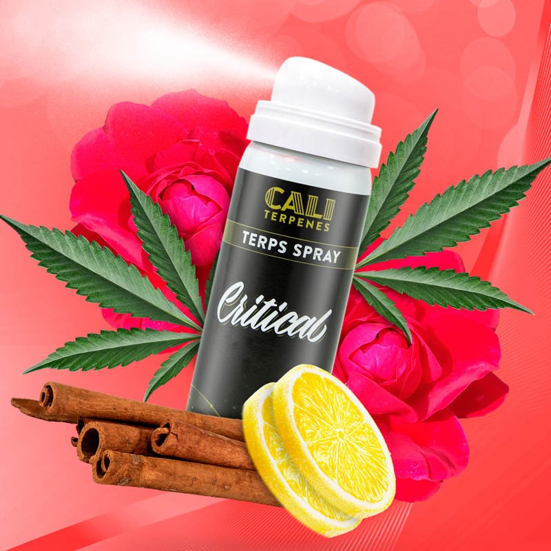 Critical Terps Spray by Cali Terpenes