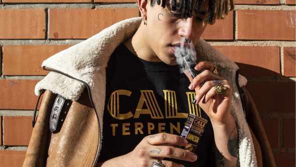 vaporizar terpenos eliquids