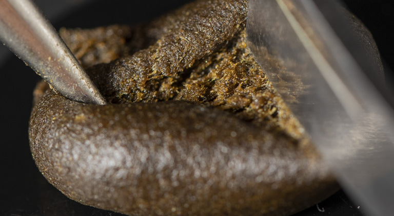 hash terpenes