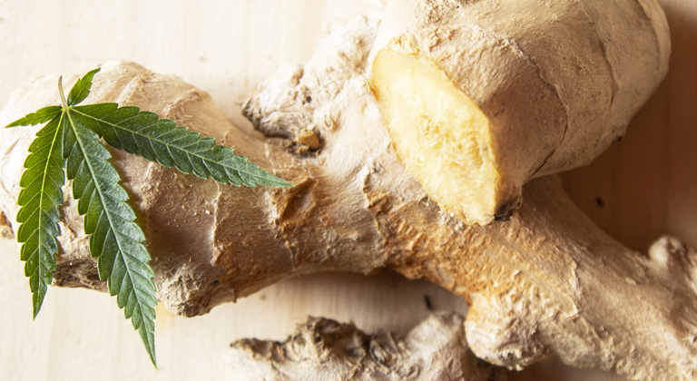 what is in ginger