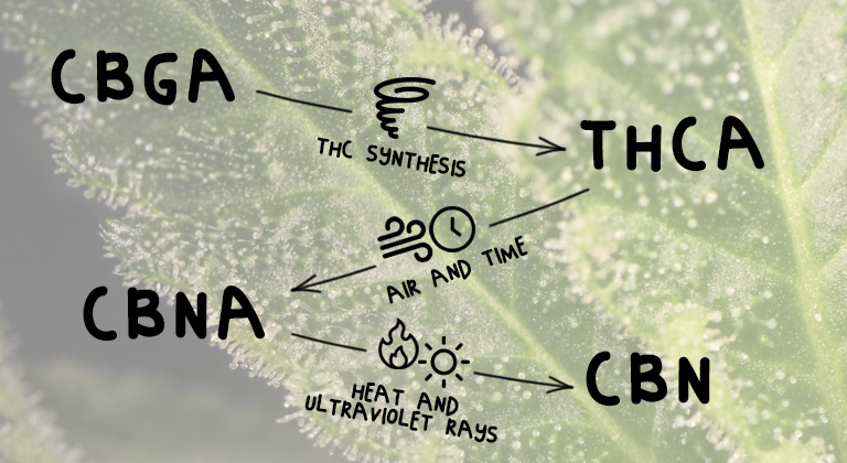 CBN synthese