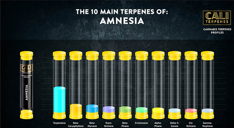 Buy Amnesia Terpenes