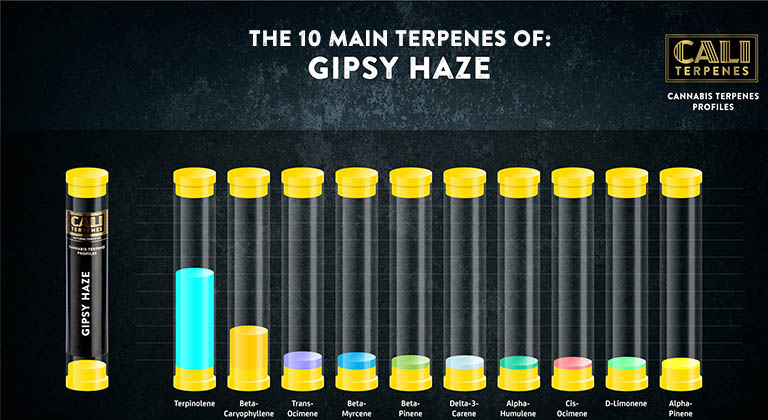 buy Gipsy Haze terpenes