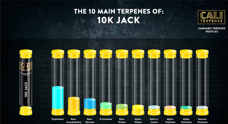 buy 10k jack terpenes