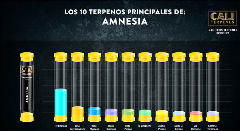 Kauf von Amnesia Terpenen