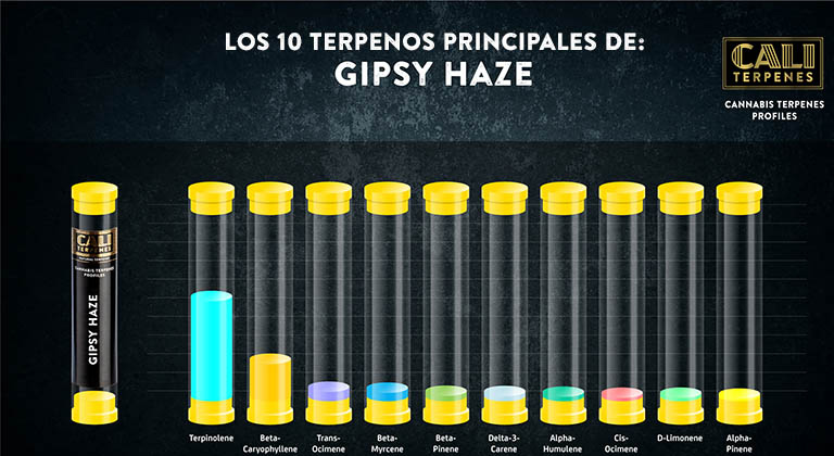 Gipsy Haze Terpene