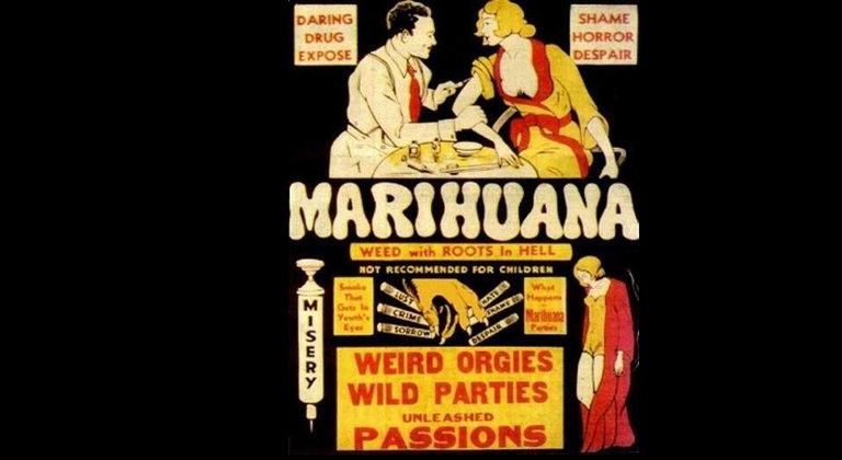 campaña anti cannabis