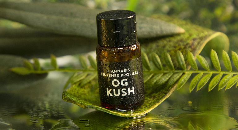 og kush terpenes