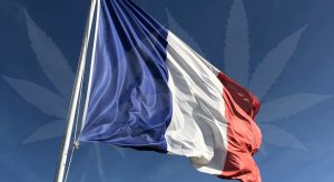 marihuana en francia