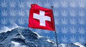 legalizacion cannabis suiza