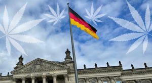 autocultivo alemania